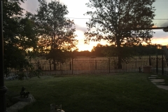 fence0010